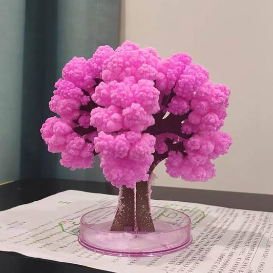 Sakura Magic Trees - Japanese Tree with Cherry Blossom - Japanese Miniature Tree Kit - Flower