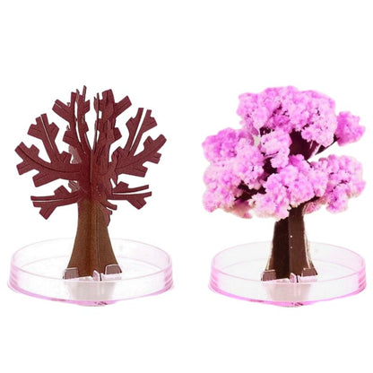 Sakura Magic Trees - Japanese Tree with Cherry Blossom - Japanese Miniature Tree Kit - Flower